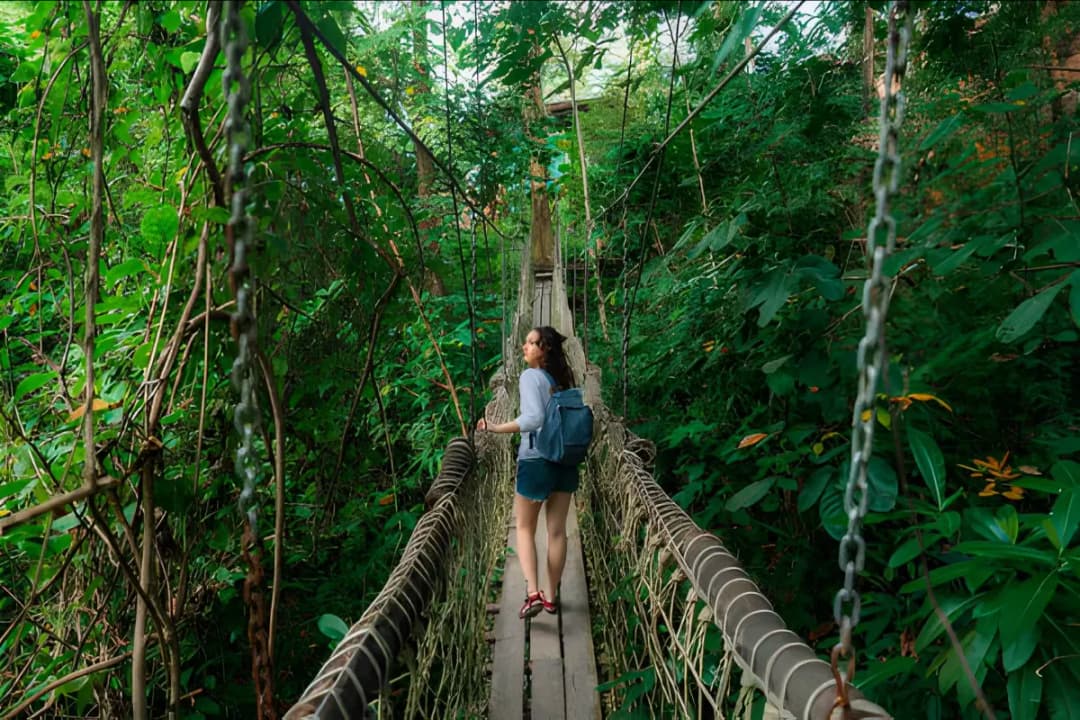 Jungle Trekking Trai