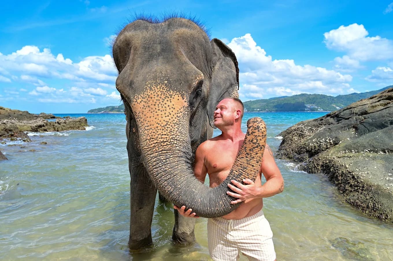 Phuket Elephant On The Beach