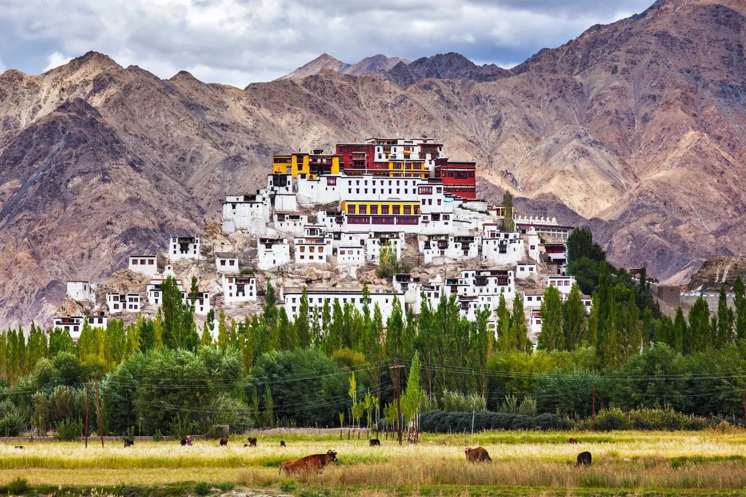 4 Night 5 Days Ladakh Tour Package