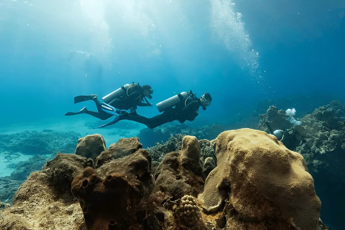 Scuba Diving in Kerala