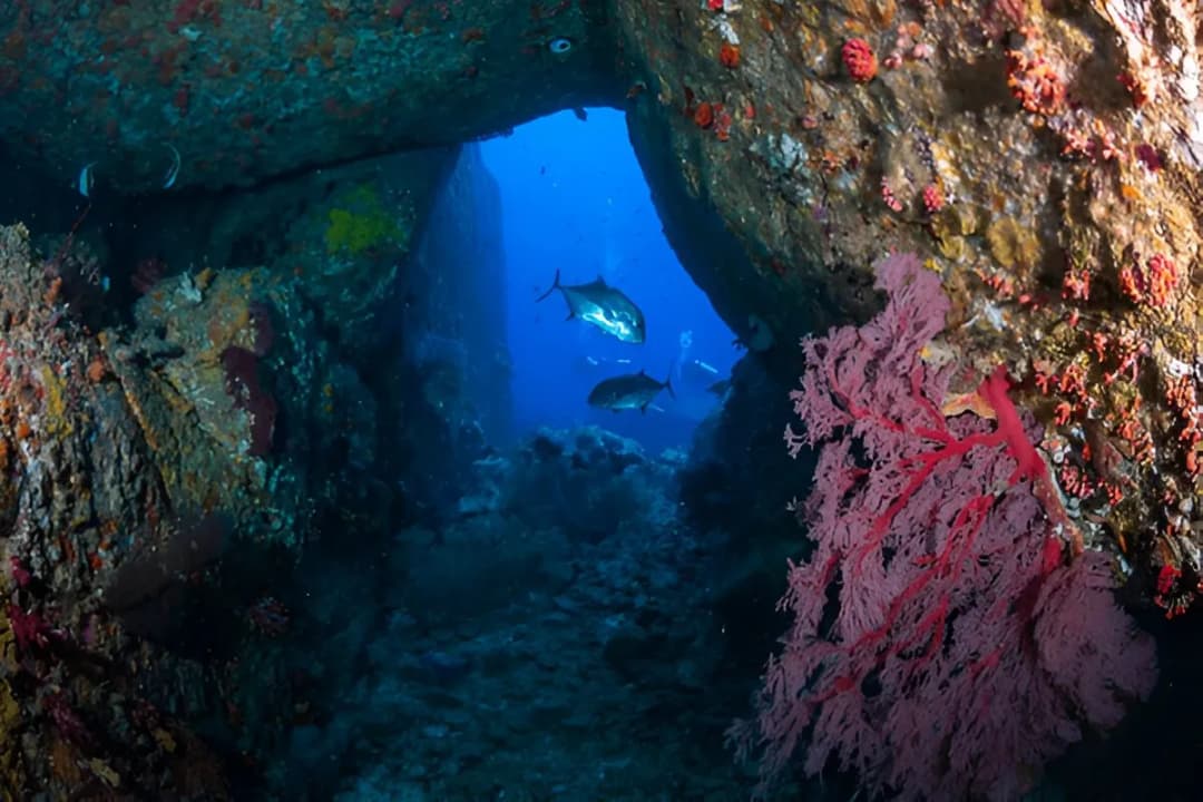 Underwater Caves