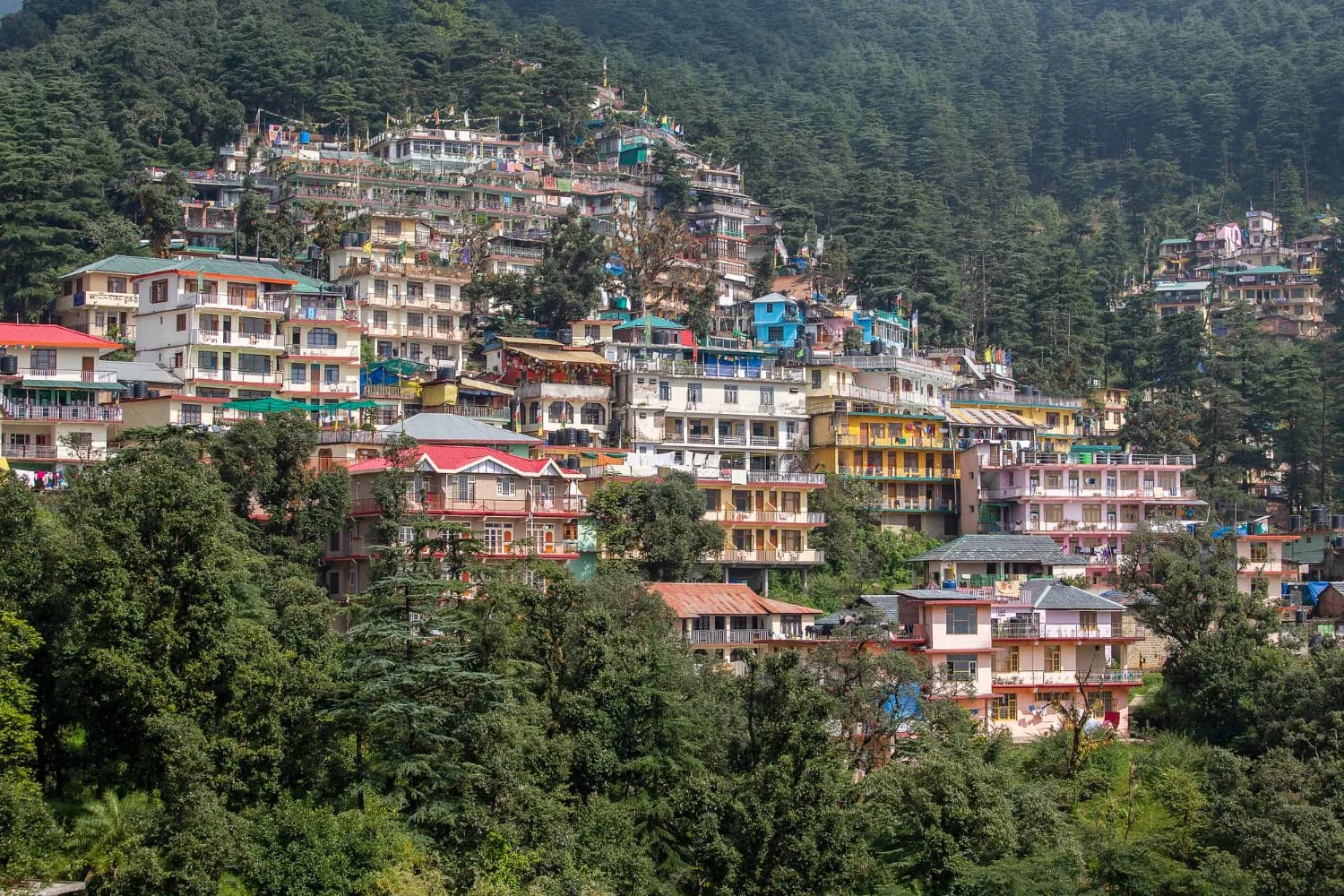 Best of Himachal Hills
