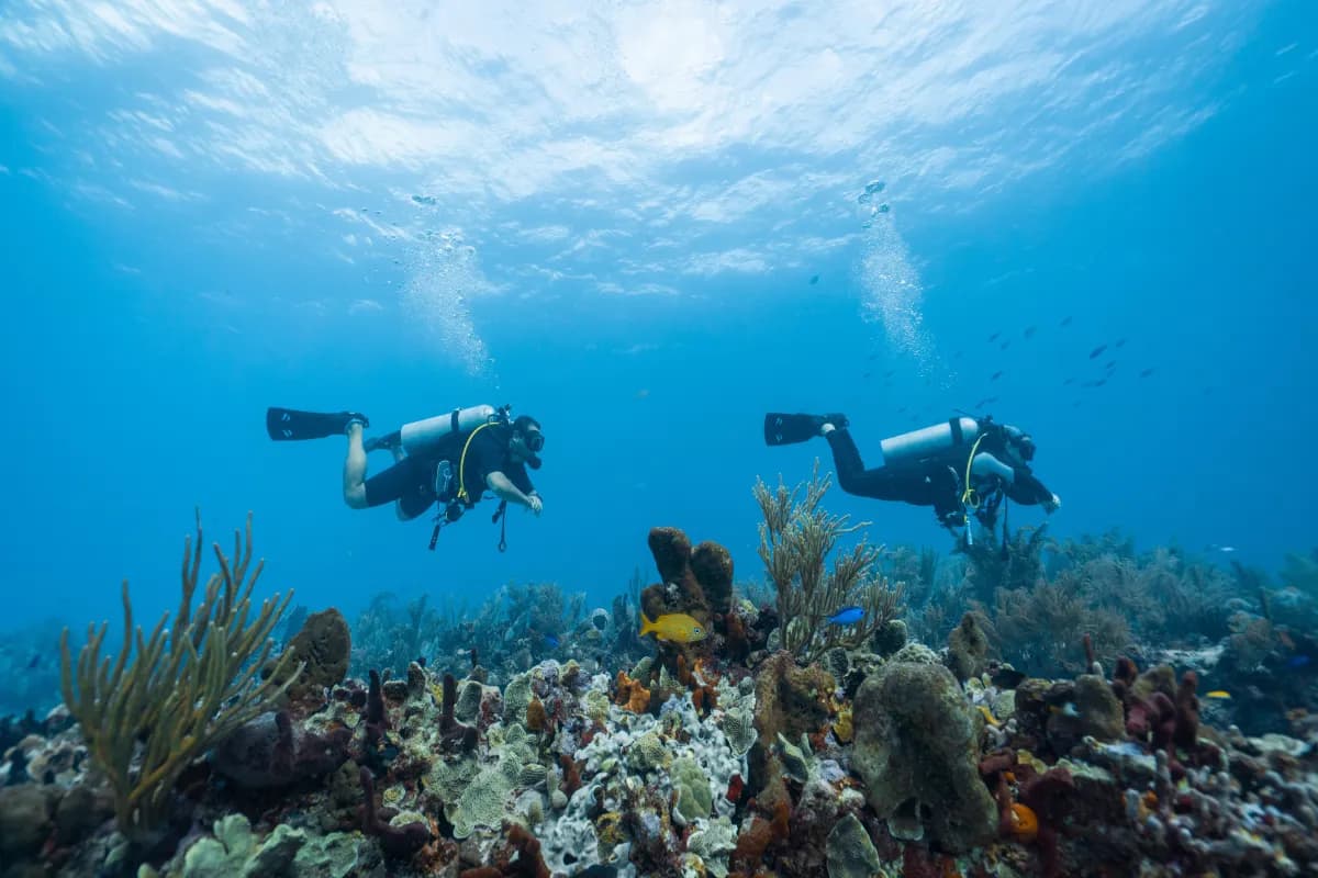 Scuba Diving in Umiam Lake