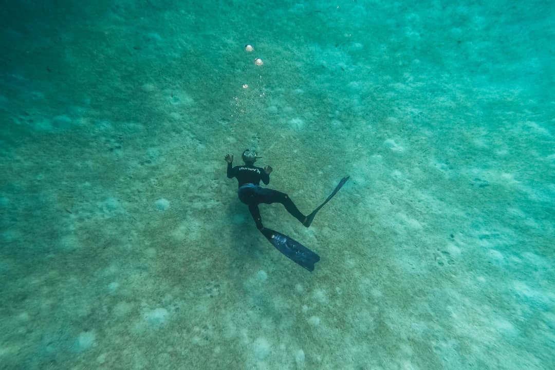 Night Snorkeling Adventures