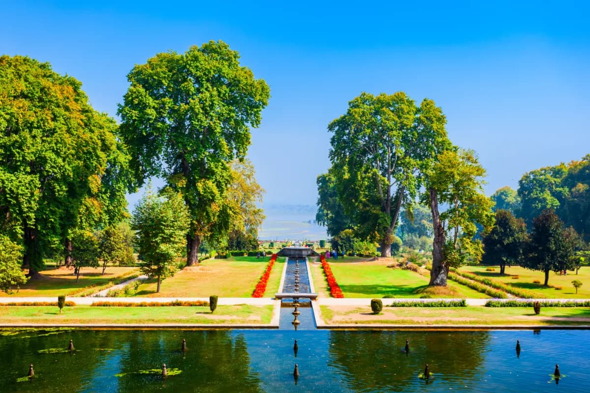 Tulip Garden Srinagar