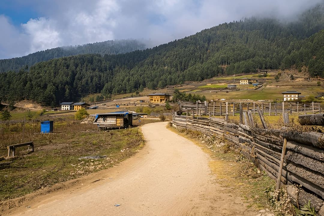 Phobjikha Nature Trail