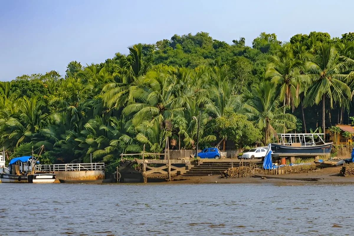 Chorao Island