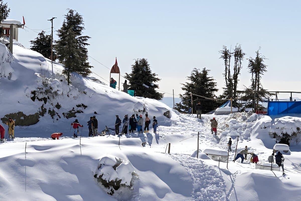  Short Trip to Shimla 
