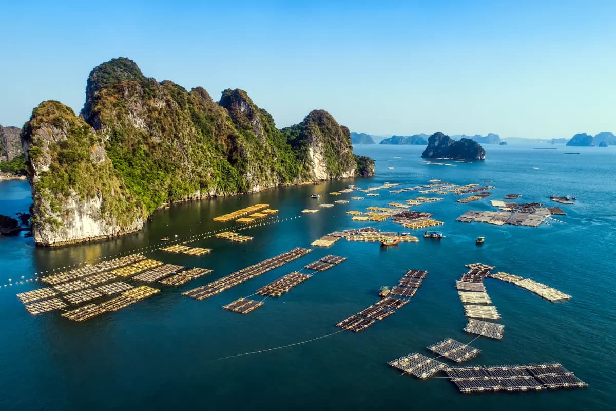 Bai Tu Long Bay, Vietnam