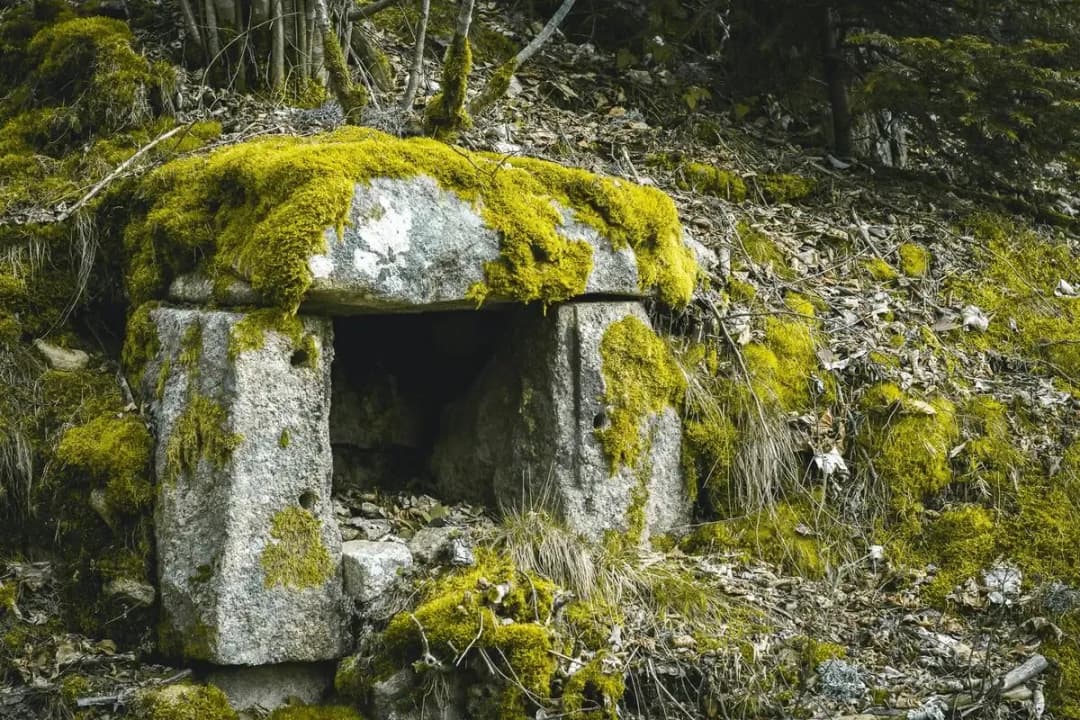 Moss-Covered Monoliths