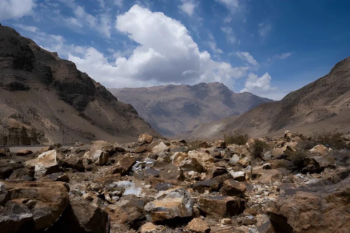  Kaza Market