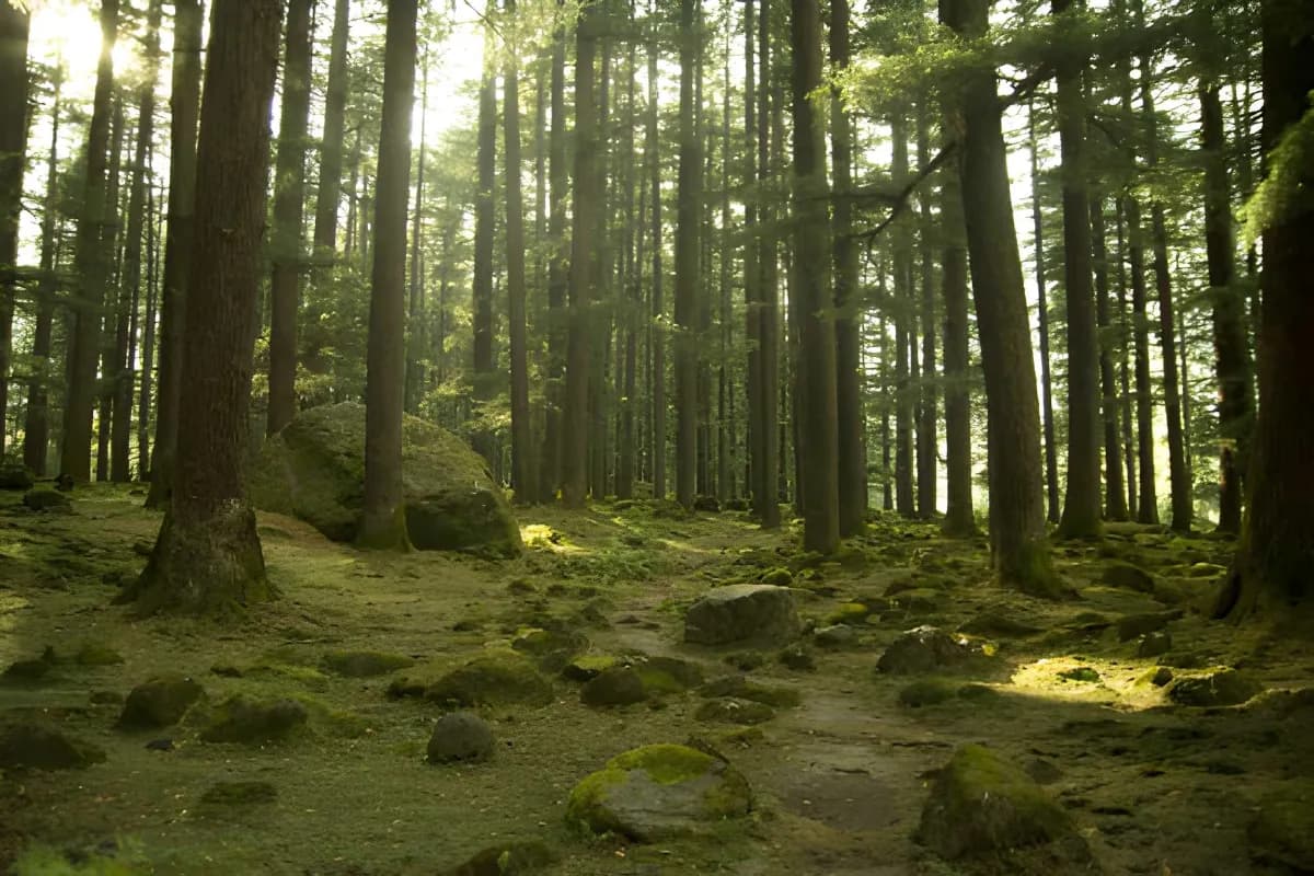 Manali Wildlife Sanctuary