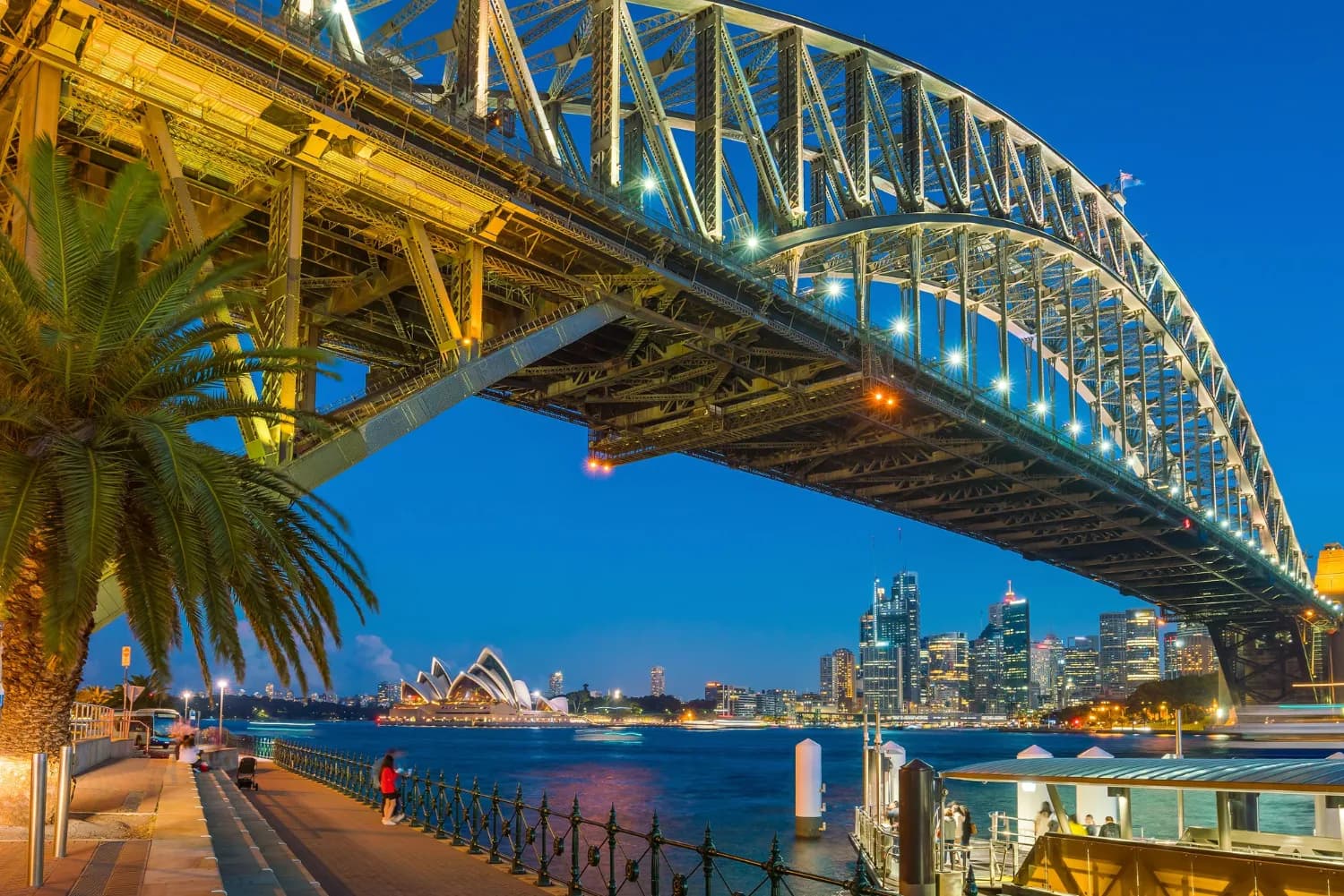 Exotic Brisbane Tour with Dolphin Feeding Experience