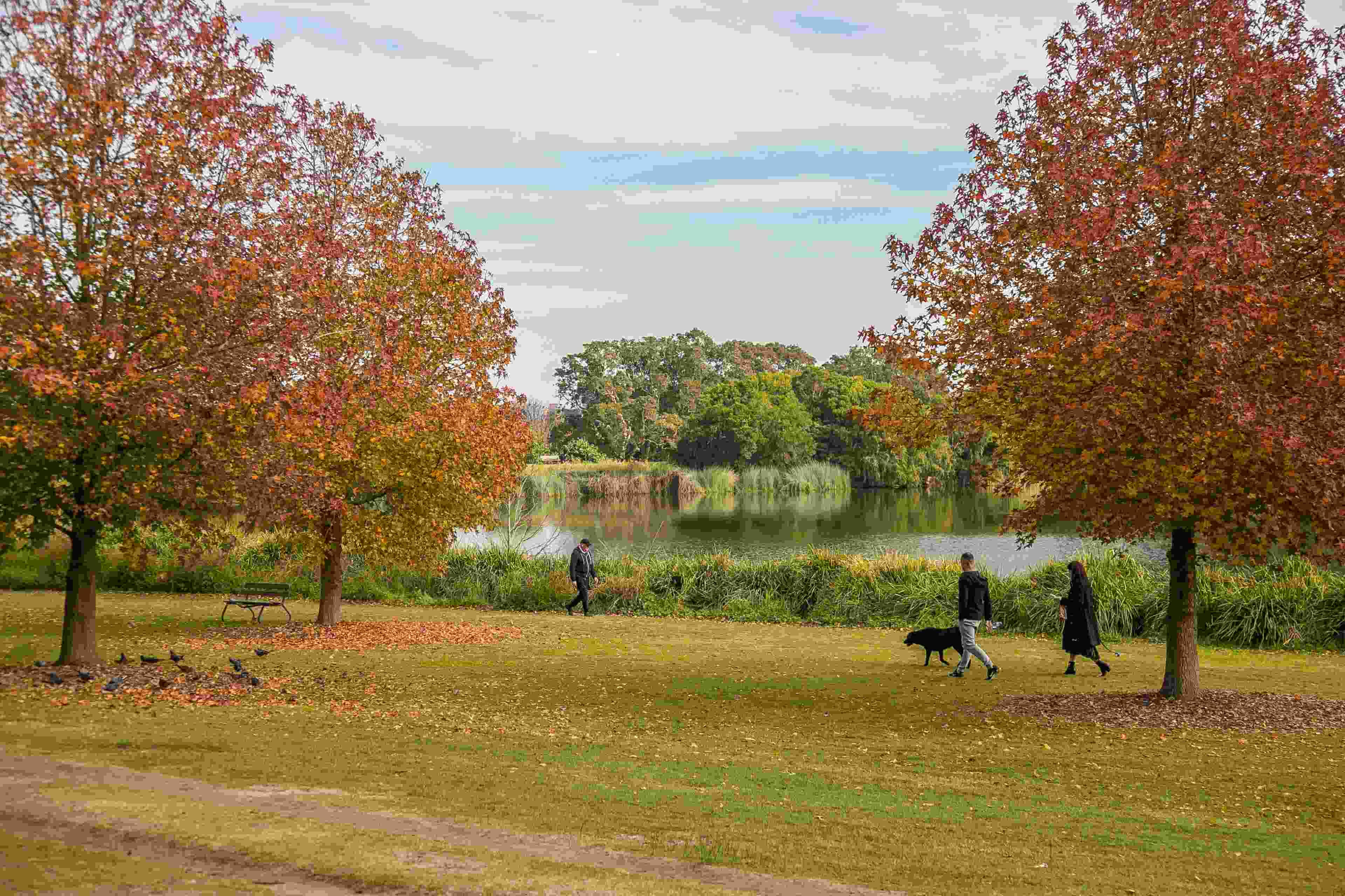 Centennial Park