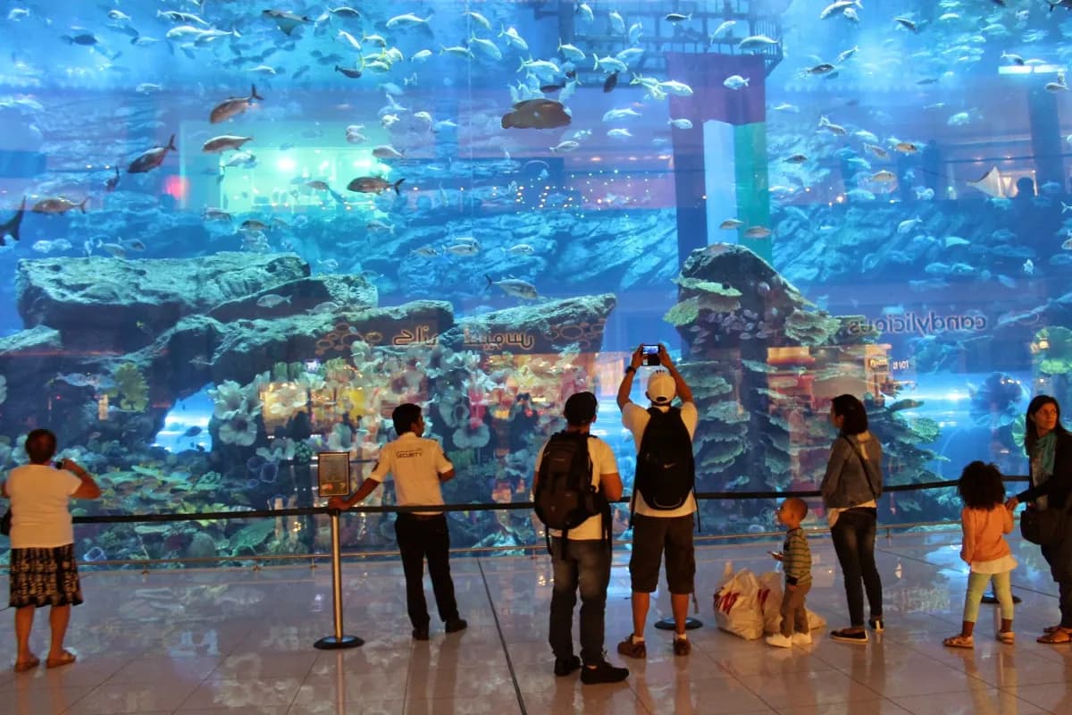 Dubai Aquarium & Underwater Zoo