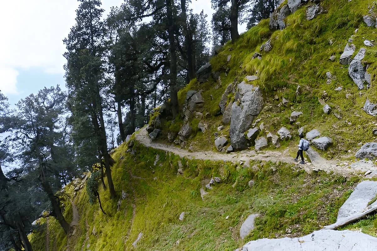 Triund Trek