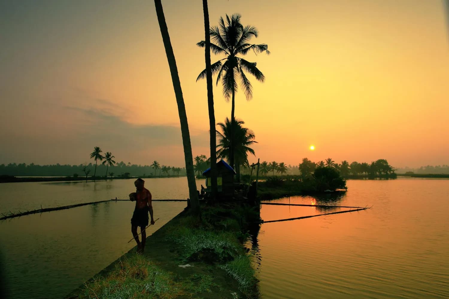 Kerala Tea Hills Voyage