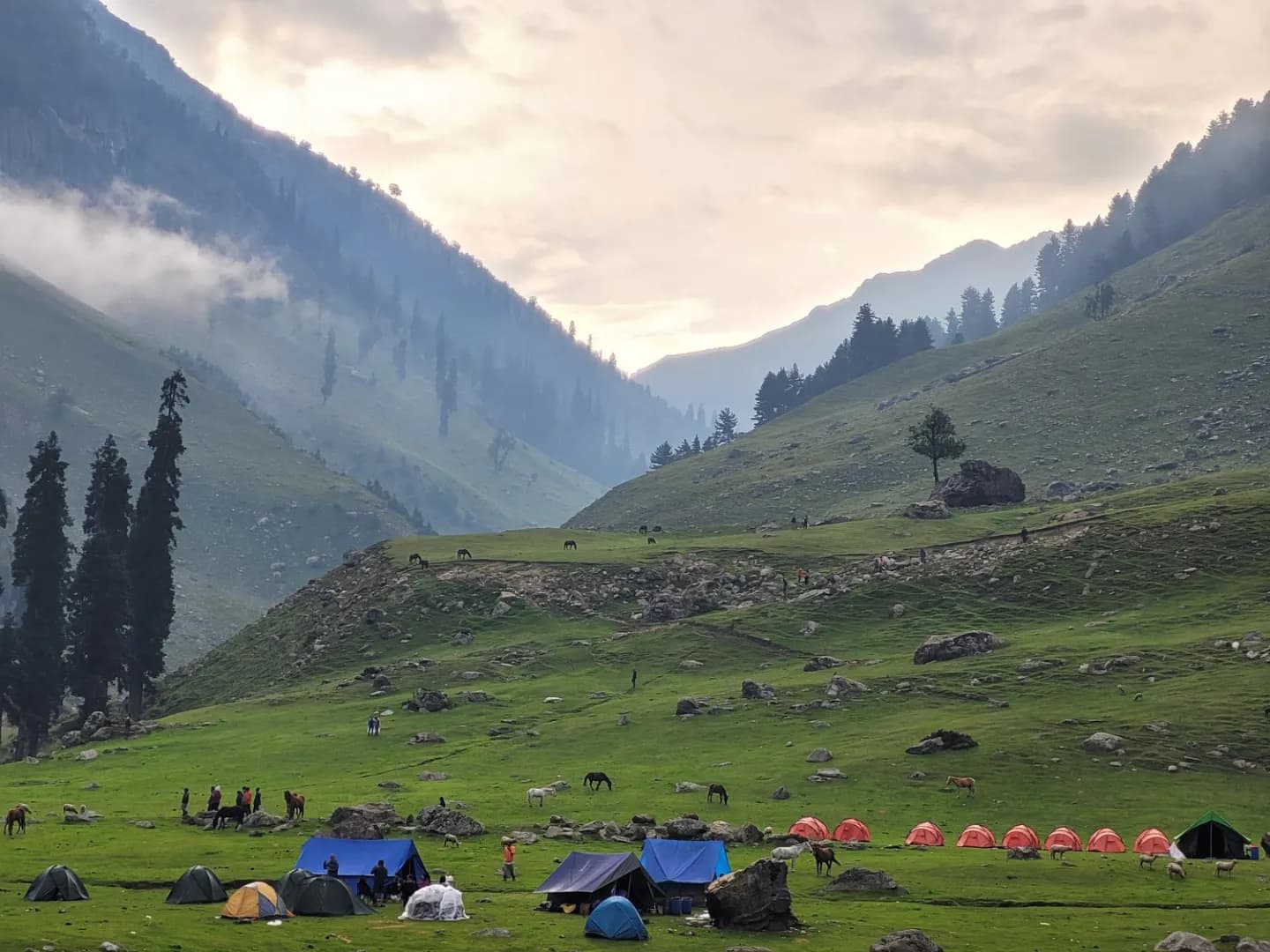 Ultimate Kashmir Voyage