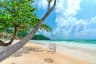 Seascape with tropical palms on beautiful Sao sandy beach in Phu Quoc island, Vietnam