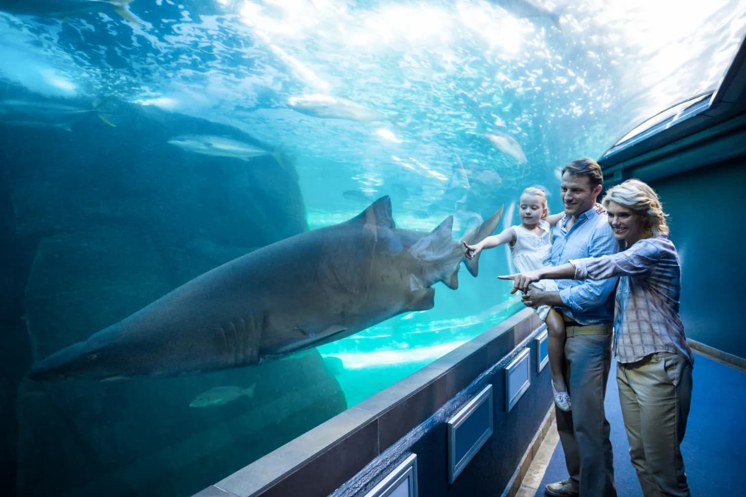 dubai aquarium