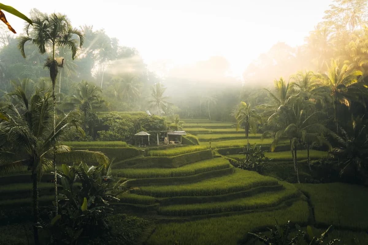 Ubud
