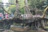 Living Root Bridge surrounded by Tourists