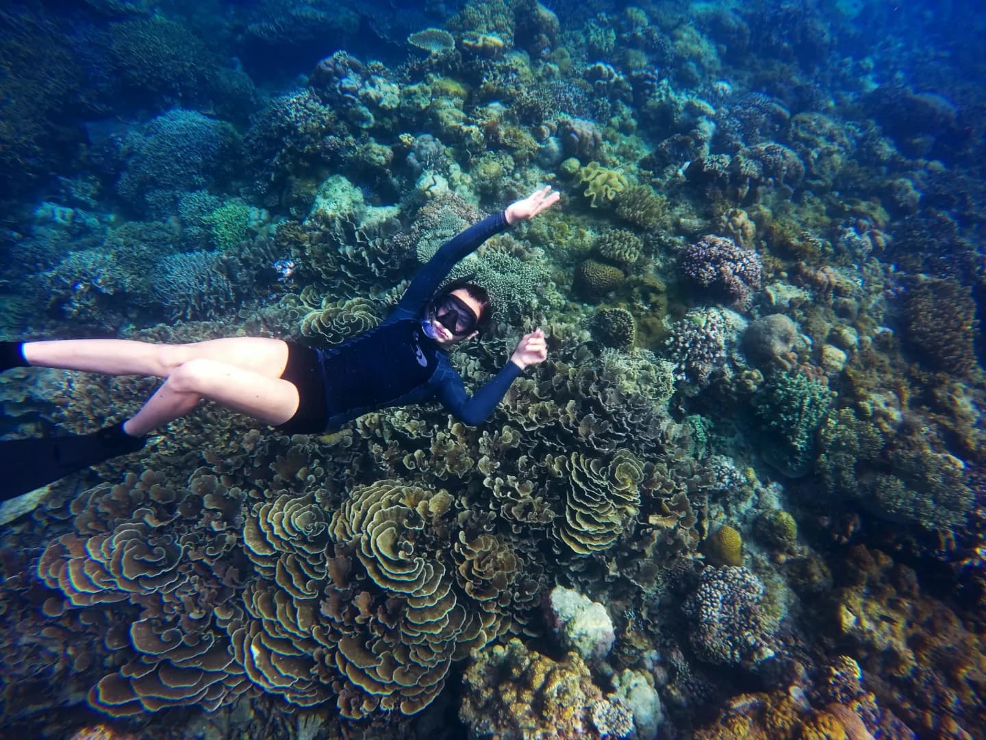snorkeling at malaysia