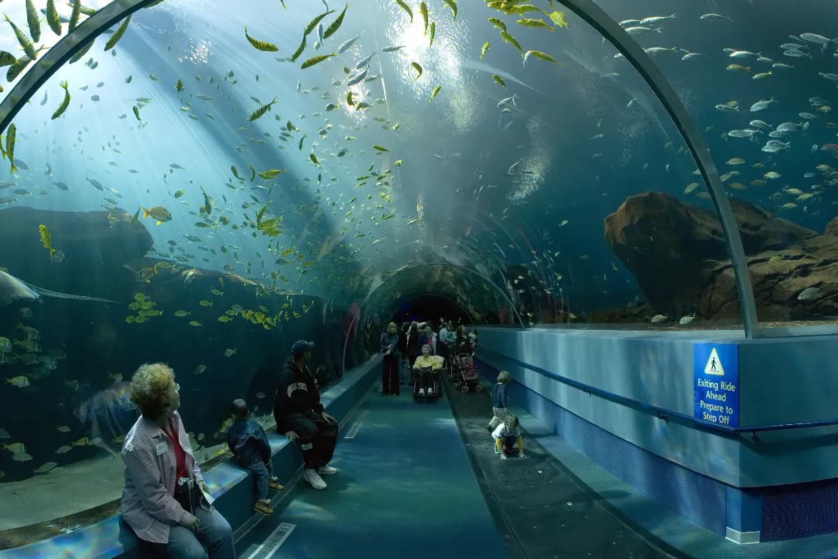 Aquarium tunnels