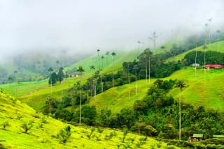 Kerala Charm & Calm with Priva