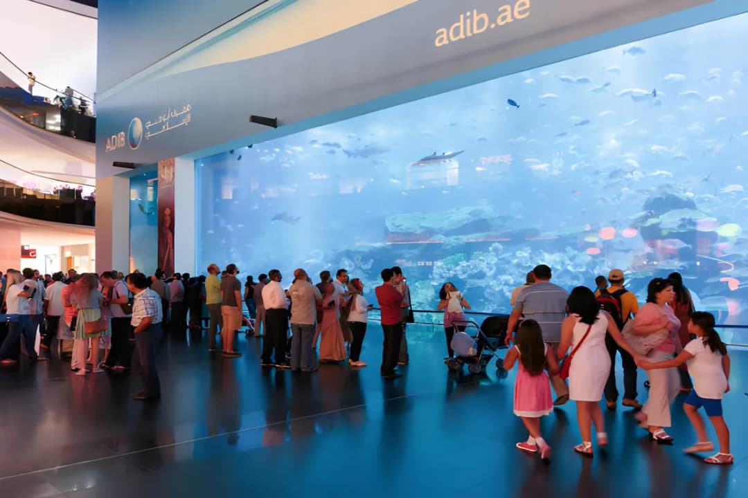 Dubai Aquarium Dive