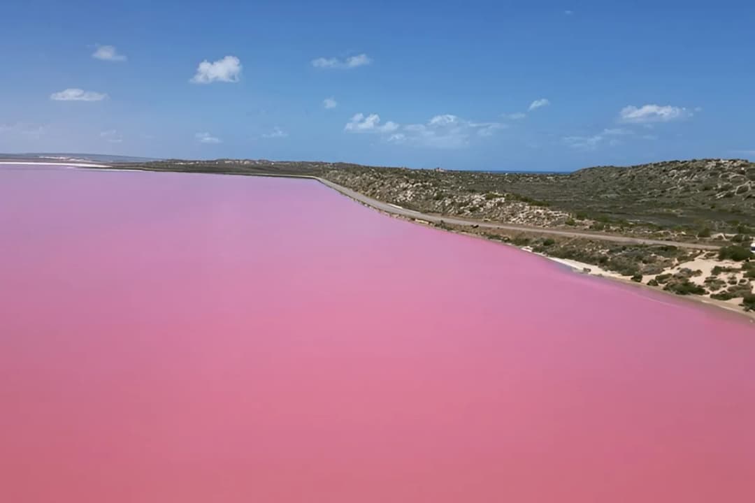 Pink lake waters
