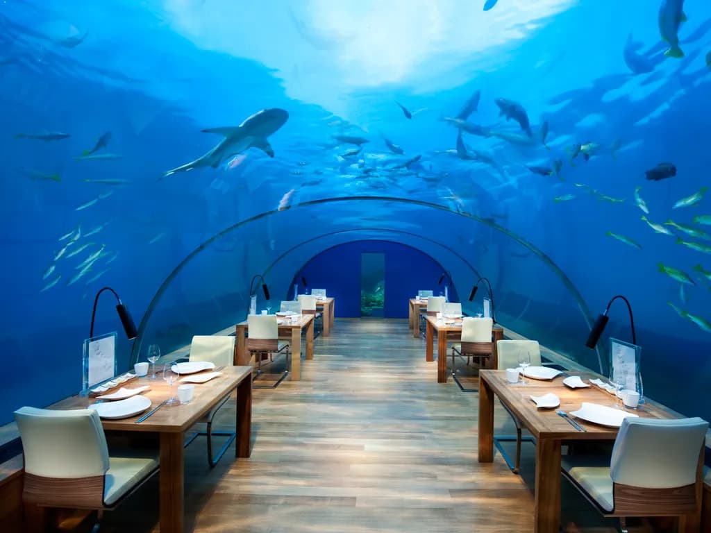Under Water Dinner