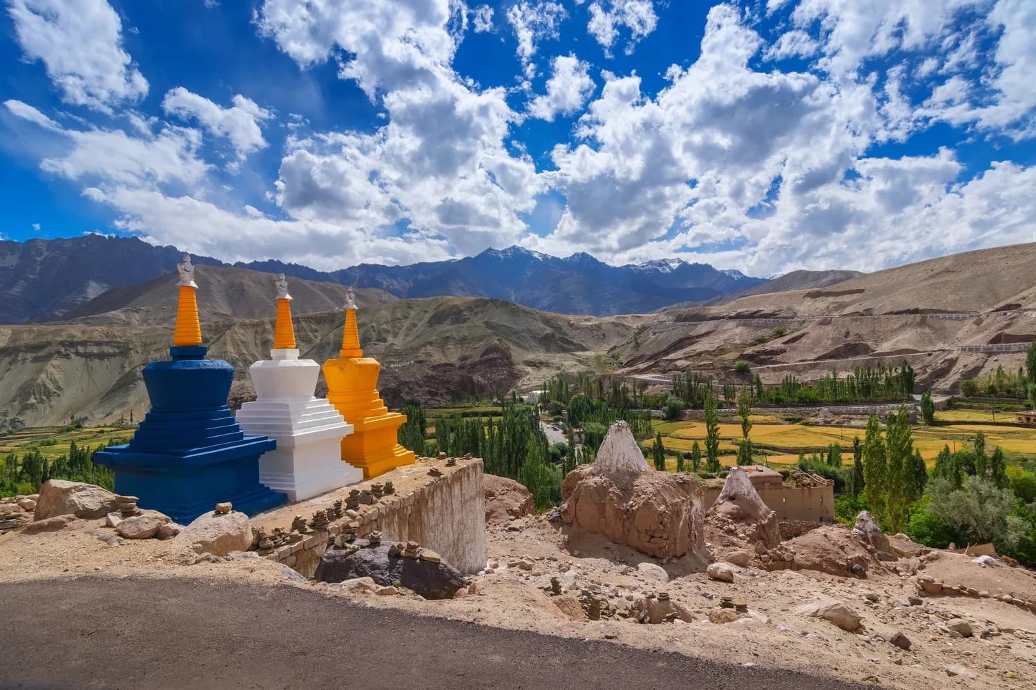 Ladakh Group Tour Package