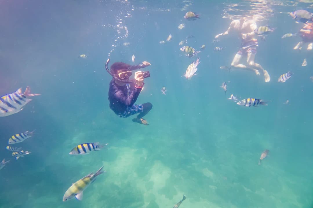 Snorkelling Near Coral Zones