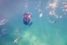 Snorkelling