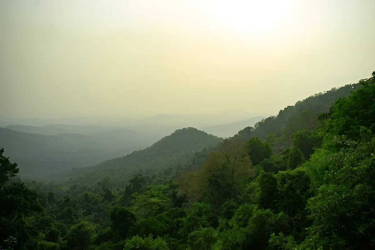 Bhagwan Mahavir Wildlife Sanctuary