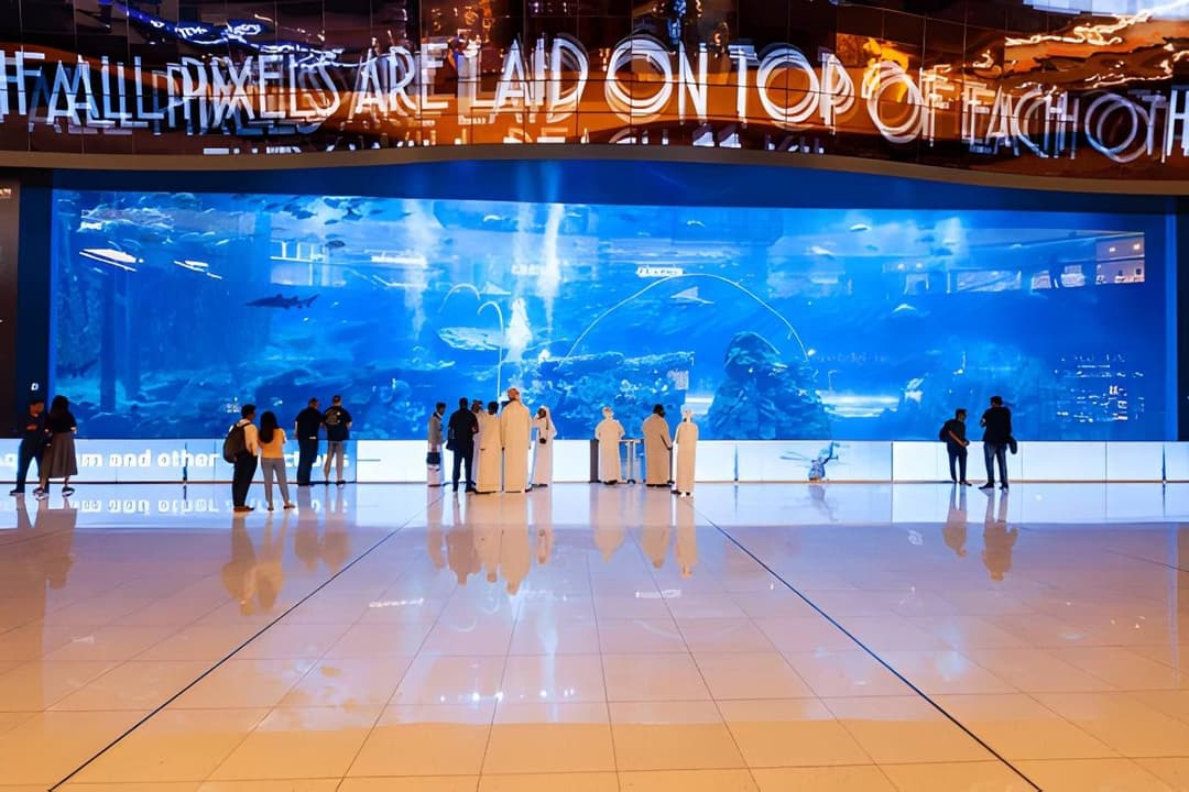 Massive Aquarium Tank