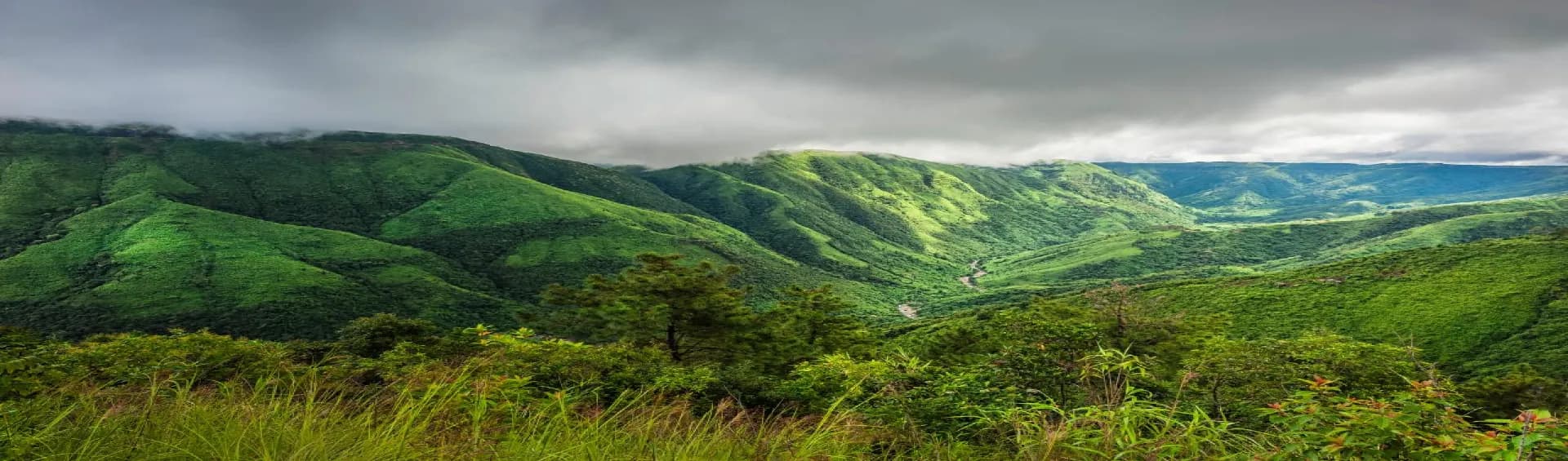 Skip the Tourist Traps: 12 Places in Meghalaya Worth Your Time