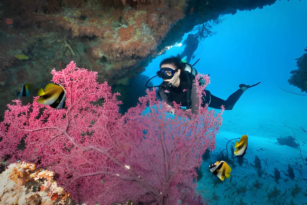 Scuba Diving in Maldives