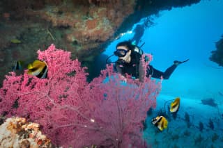 Scuba Diving in Maldives