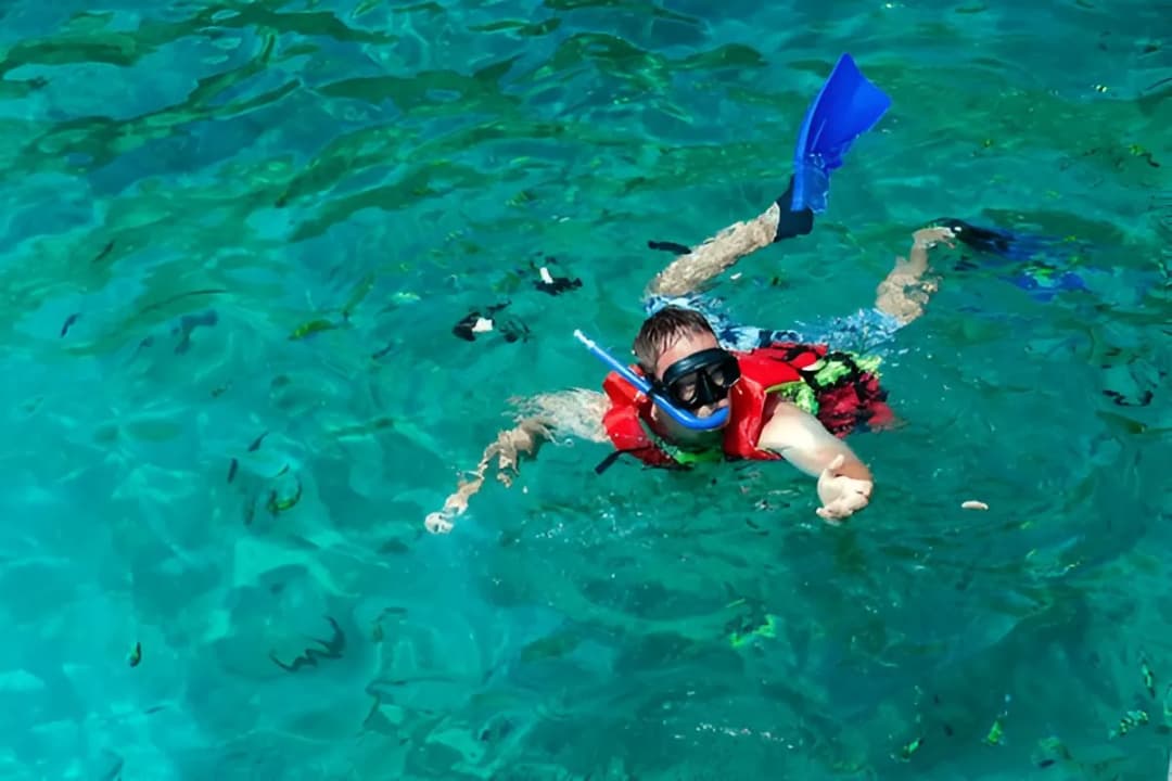 Swimming and Sunbathing