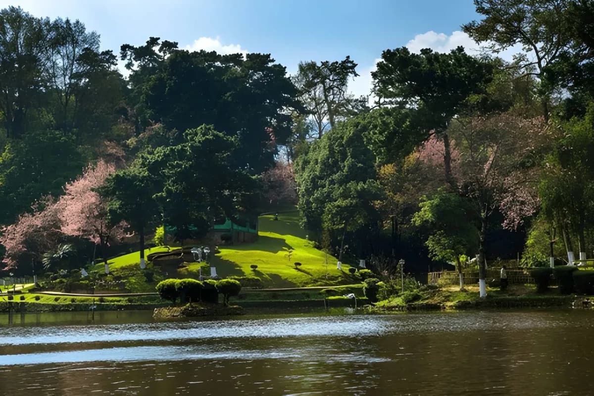 Spring in Meghalaya