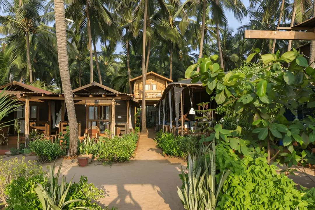 Local Seafood Shacks