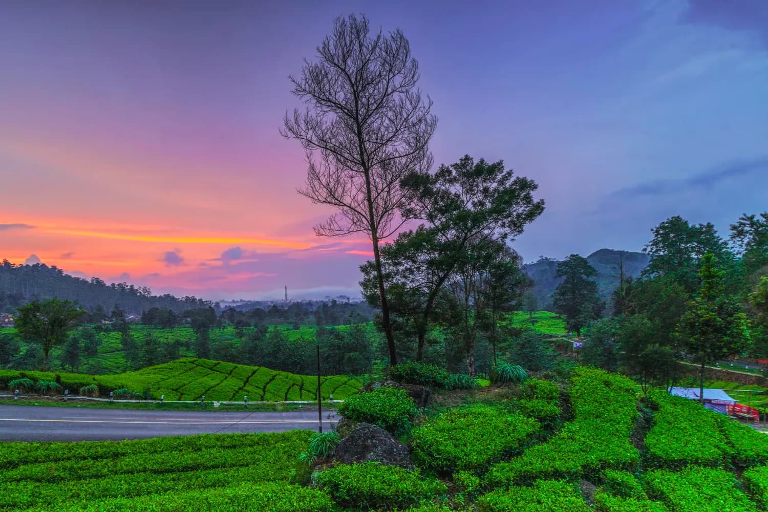 Kerala Nature Escape