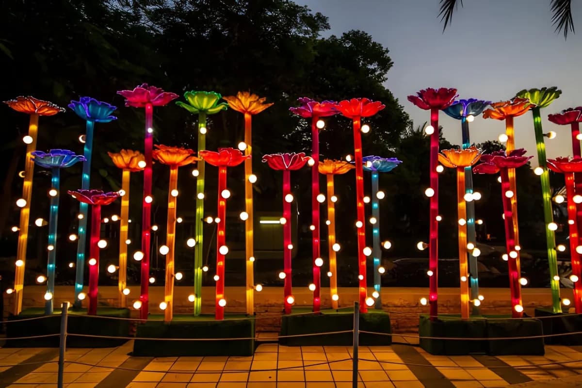 Dubai Garden Glow