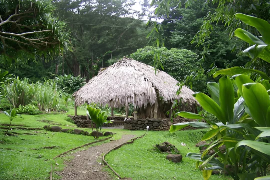 Eco Huts and Picnic Spots