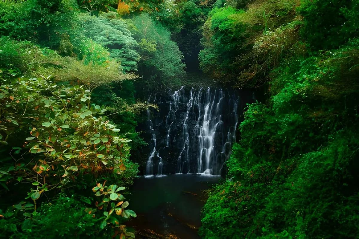 Beauty of Elephant Falls of Shillong Spring Water Falls