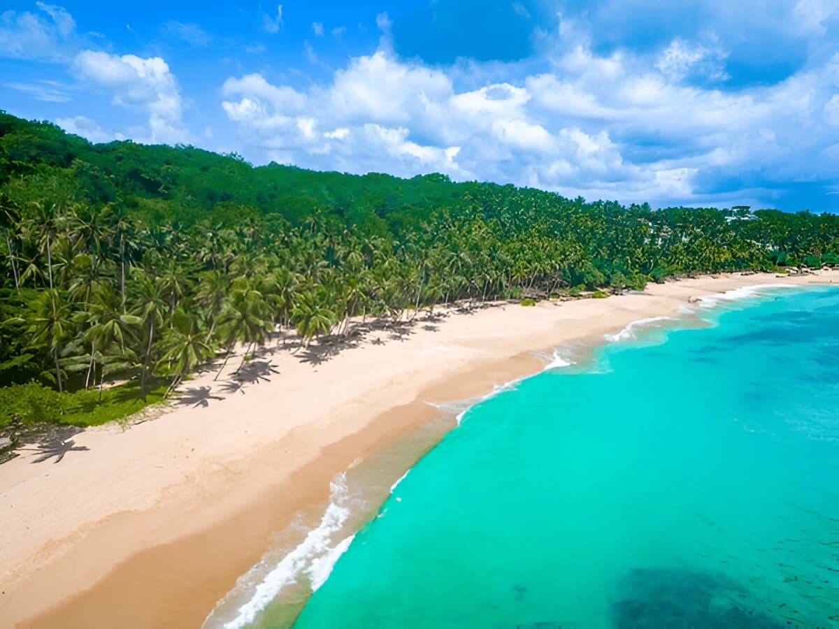 Sri Lanka Coastal Wonders | River Safari & Turtle Tour