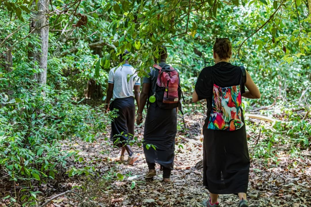 Guided Sacred Forest Walk