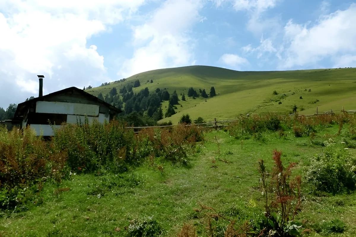 Borjomi & Kharagauli National Park